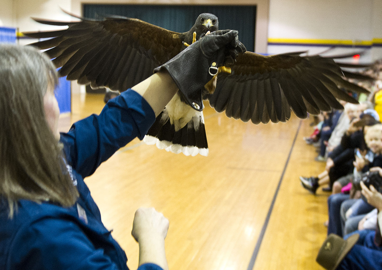 SOAR with the Eagles 02